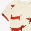 Chicary.shopa87e0c06a5 3