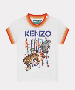 Chicary.shop1b90e8b48e 3