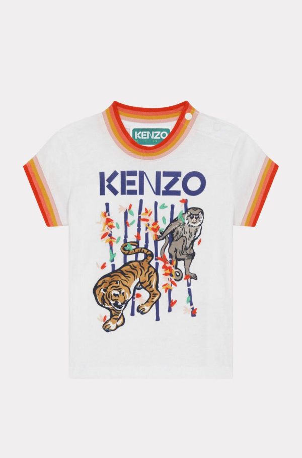 Chicary.shop1b90e8b48e 3