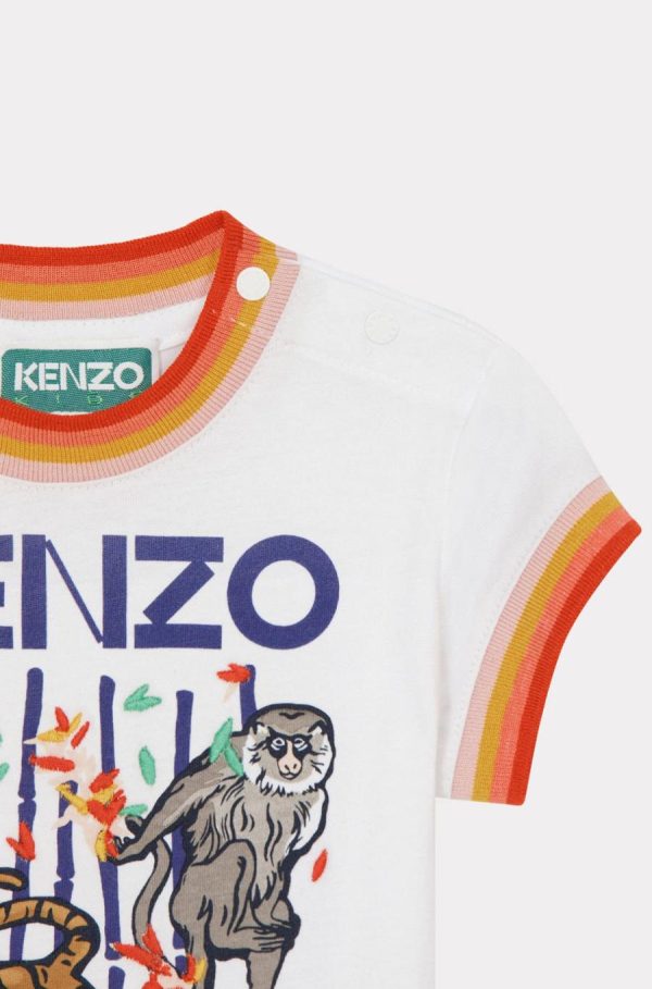 Chicary.shop1b90e8b48e 4