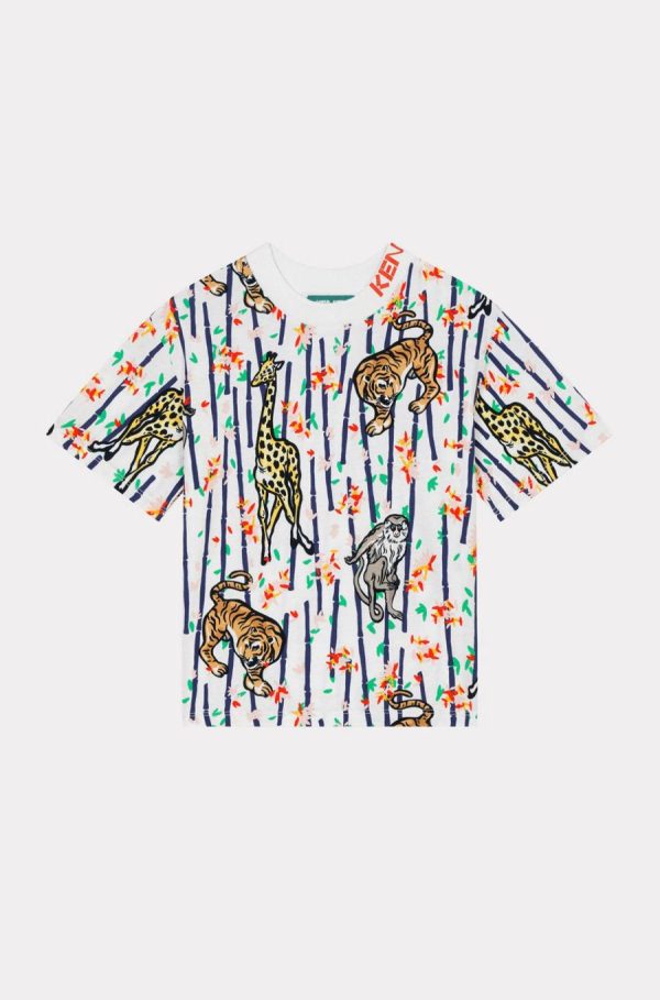 Chicary.shop57e72e7b51 1