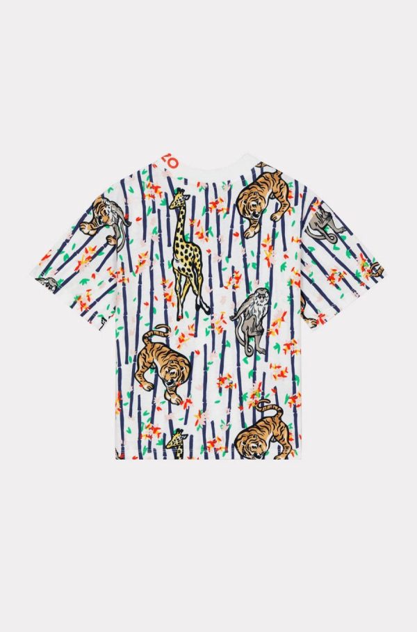 Chicary.shop57e72e7b51 2