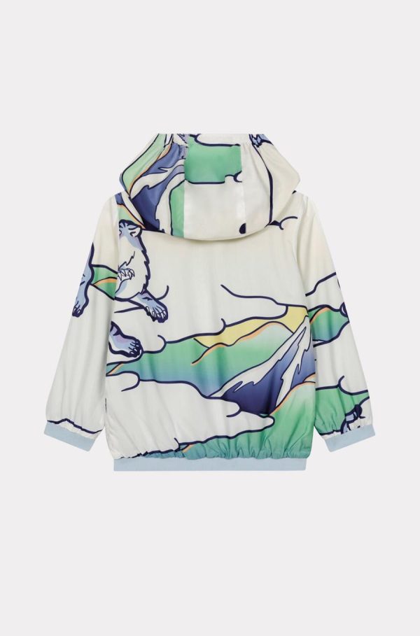 Chicary.shop64d3a45703 3