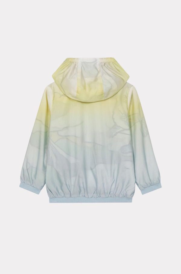 Chicary.shop64d3a45703 4