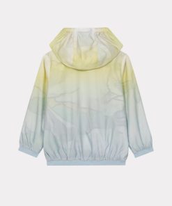 Chicary.shop64d3a45703 4