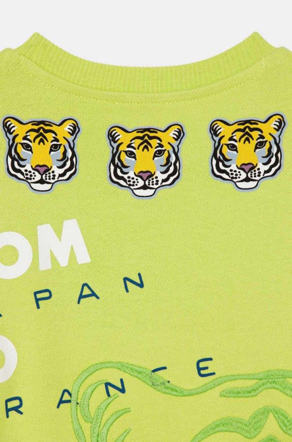 Chicary.shop91e332e75f 4