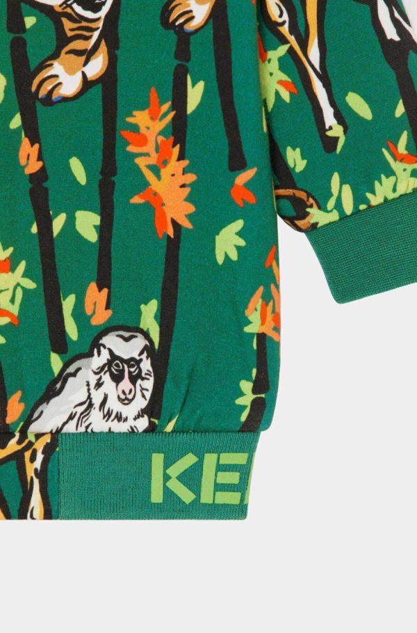 Chicary.shopb28227945d 4