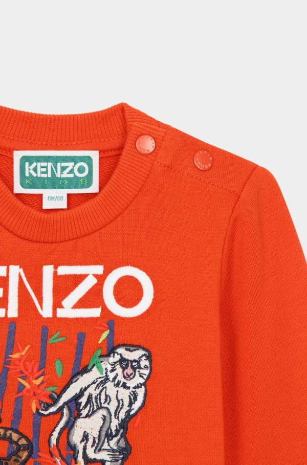 Chicary.shopc199f555a6 4