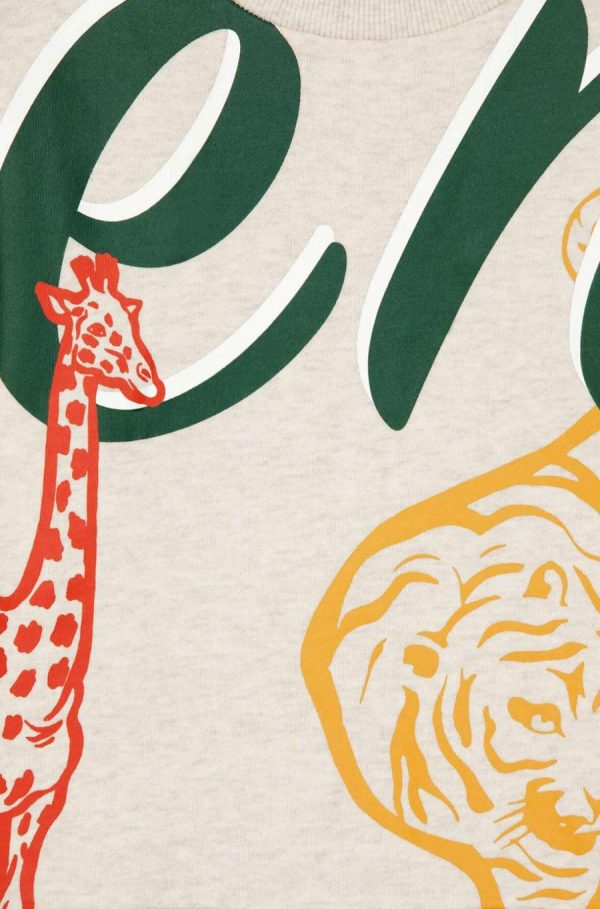 Chicary.shopda55cde954 3