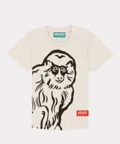 Chicary.shopfeefb47f6c 1