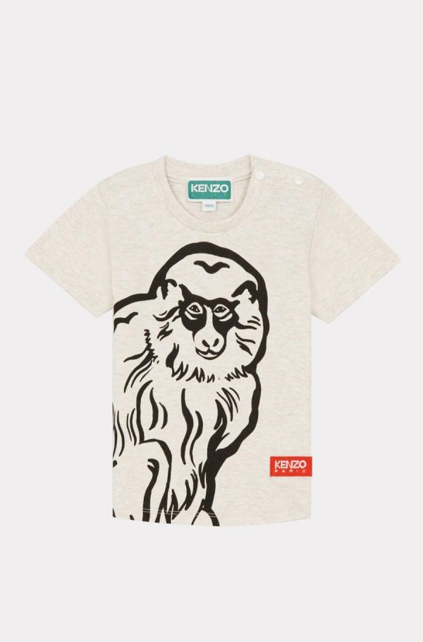 Chicary.shopfeefb47f6c 1