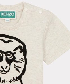 Chicary.shopfeefb47f6c 4