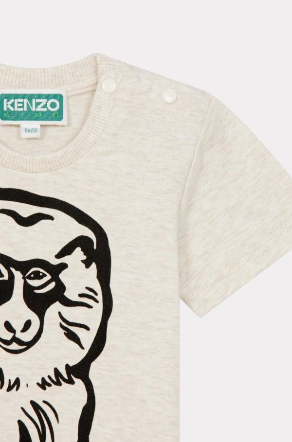 Chicary.shopfeefb47f6c 4